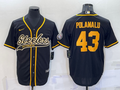 Men's Pittsburgh Steelers Troy Polamalu #43 Black Vapor F.U.S.E. Limited jersey