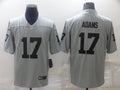 Men's Las Vegas Raiders Davante Adams #17 Gray Inverted Legend Jersey1