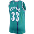 C.Hornets #33 Alonzo Mourning 1992-93 Hardwood Classics Swingman Player Jersey  Teal Stitched American Basketball Jersey
