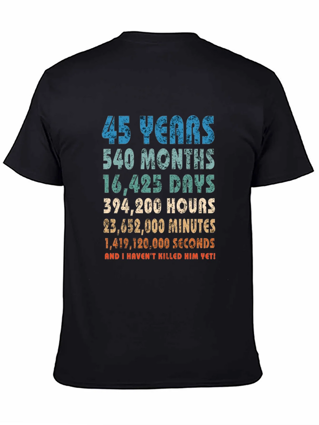 45 Years Anniversary T-Shirt Funny Birthday Gift