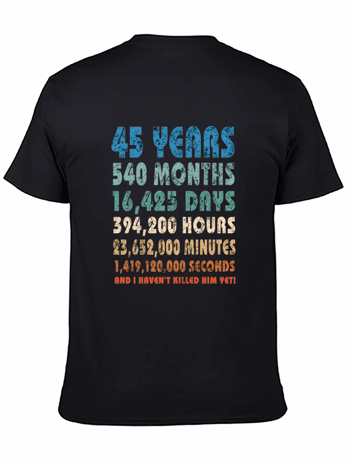 45 Years Anniversary T-Shirt Funny Birthday Gift