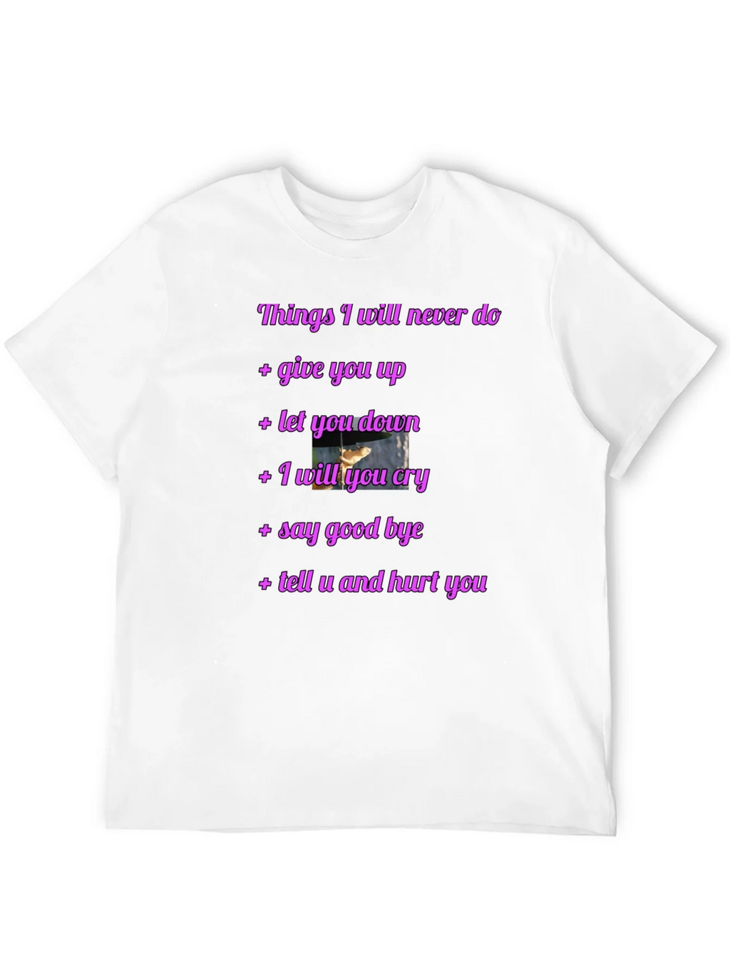 Rick Roll Never Gonna Give You Up Funny T-Shirt